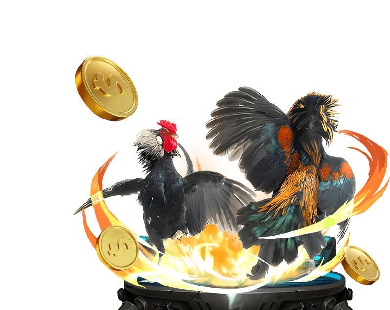 Hình ảnh định vị thương hiệu đá gà Thomo